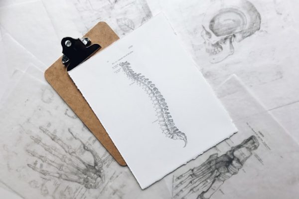 5 Common Misconceptions About Chiropractic Care Debunked